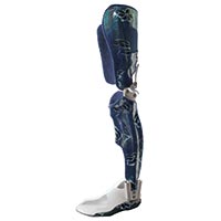 ارتز کف پا-مچ- زانو